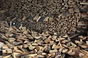 Ecofriendly Heating Material Stampe: Firewood, split logs