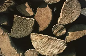 Split Firewood Stampe: Firewood, split logs