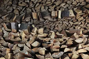 Wood Structure Design Stampe: Firewood, split logs