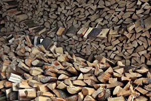 Wood Pattern Structure Stampe: Firewood, split logs