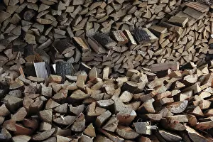 Deserted Wooden Structure Stampe: Firewood, split logs