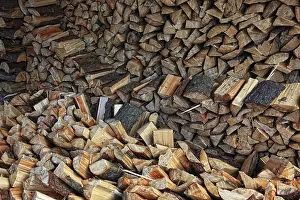 Wood Pattern Structure Stampe: Firewood, split logs