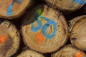 Firewood Stack Stampe: Firewood Stack with Colored Markers