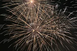 Firework Display Stampe: Firework Display