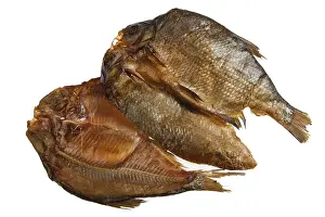 Studio Shot Of A Fish Stampe: Fish on an isolated studio background