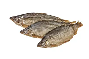 Wild Animal Studio Photo Stampe: Fish on an isolated studio background