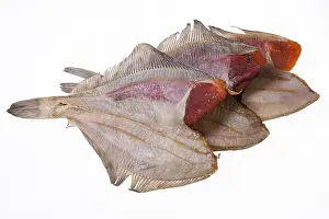 Studio Food Photography Stampe: Fish on an isolated studio background