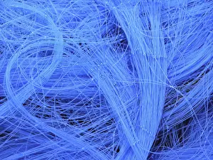 Baltic Sea Fishing Stampe: Fishing net