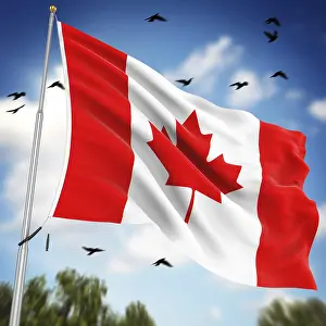 Computer Generated Image Stampe: Flag of Canada, This is a computer generated and 3d rendered image