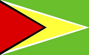 Latin America Flags Stampe: Flag of Guyana