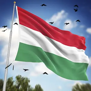 European Country Flags Stampe: Flag of Hungary, This is a computer generated and 3d rendered image