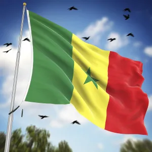 Senegal Flag Stampe: Flag of Senegal, This is a computer generated and 3d rendered image