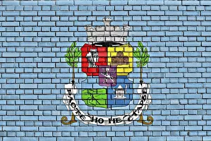 Southeast Europe Flags Stampe: Flag of Sofia painted on brick wall