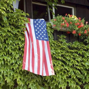 Friendship Between Nations Stampe: Flag of the USA