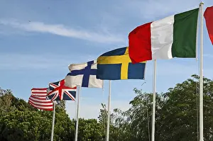 Colorful Flags Stampe: Flaggs