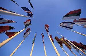 Colorful Flags Stampe: Flags