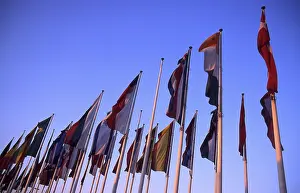Colorful Flags Stampe: Flags