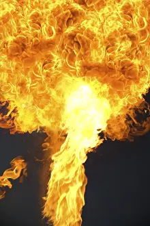 Red Flame Stampe: Flames