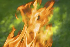 Flame Photography Stampe: Flames