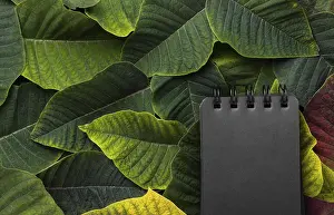 Time Management Ideas Stampe: Flat lay composition leaves with black notepad