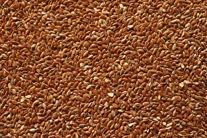 Balanced Diet Grocery Shopping Stampe: Flaxseed