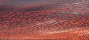 Southern Germany Atmosphere Stampe: Fleecy clouds (Altocumulus) in the evening cloudy sky