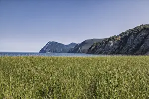 European Countryside Views Stampe: Flora of Kamchatka. Forests and fields