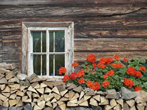 Deserted Farmyard Scene Stampe: Flower window