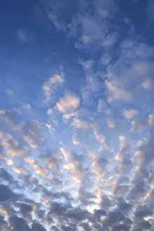 Evening Sky Photography Stampe: Fluffy clouds, altocumulus clouds