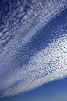 Cirrocumulus Cloud Formation Stampe: Fluffy clouds or cirrocumulus clouds