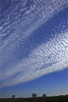 Cirrocumulus Clouds Germany Stampe: Fluffy clouds or cirrocumulus clouds