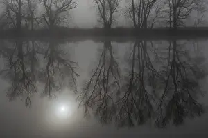 Deserted German Riverbank Stampe: Fog, bare trees reflected in the river