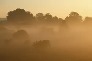 East German Landscape Photography Stampe: Fog over the meadows against the light