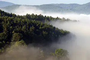 Autumn Landscape Stampe: Fog rises