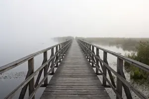 Wetland Biotope Images Stampe: footbridge