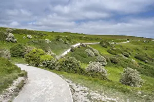Rocky Shoreline UK Stampe: Footpath along the chalk cliffs of Dover