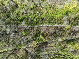 River Dart Aerial View Stampe: Top Down over Forest from a drone