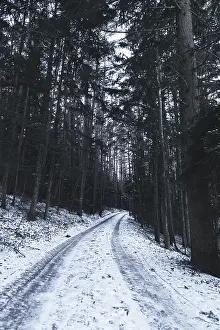 European Winter Scenery Stampe: Forest path with snow, Ternitz