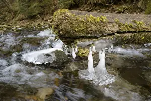 Frozen Landscape Photography Stampe: Forms and structures of ice on water