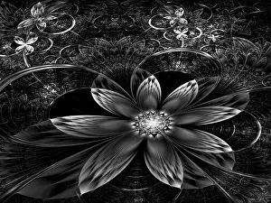 Arte Digitale Stampe: Fior di frattale - immagine generata da computer astratta.