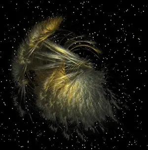 Abstract Fractal Geometry Stampe: Fractal object