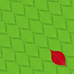 Vector Floral Design Stampe: Fresh leaf pattern, vector illustration