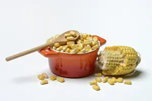 Sweet Corn Nutrition Stampe: Fresh maize kernels in pots and cobs