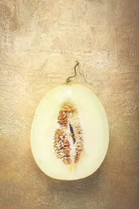 Healthy Eating Fruit Stampe: Fresh melon in section, half melon