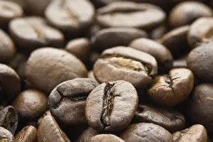 Caffeine Rich Food Stampe: Fried coffee beans