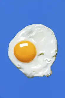 Studio Shot Of Egg Stampe: Fried egg