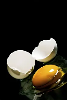 Raw Egg Nutrition Facts Stampe: Fried egg