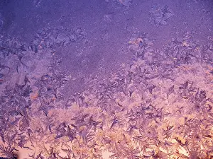 Czech Republic Winter Scenes Stampe: Frost patterns