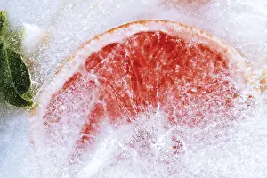 Colorful Citrus Fruits Stampe: Frozen Ruby Grapefruit