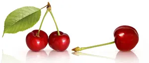 Raw Food Nutrition Stampe: Fruit 702